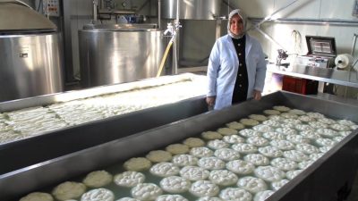 DÜZCE İL TARIM VE ORMAN MÜDÜRÜ ESRA UZUN, KIRSAL KALKINMA