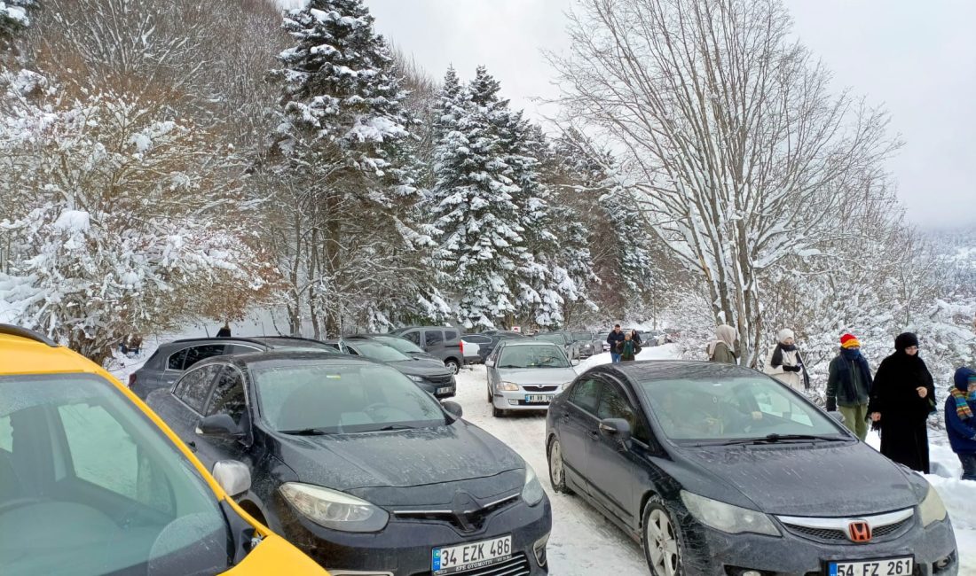 BOLU’NUN DOĞA HARİKASI ABANT