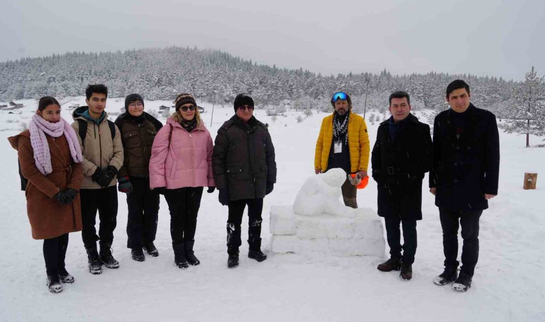 KASTAMONU'NUN ARAÇ İLÇESİNDE DÜZENLENEN