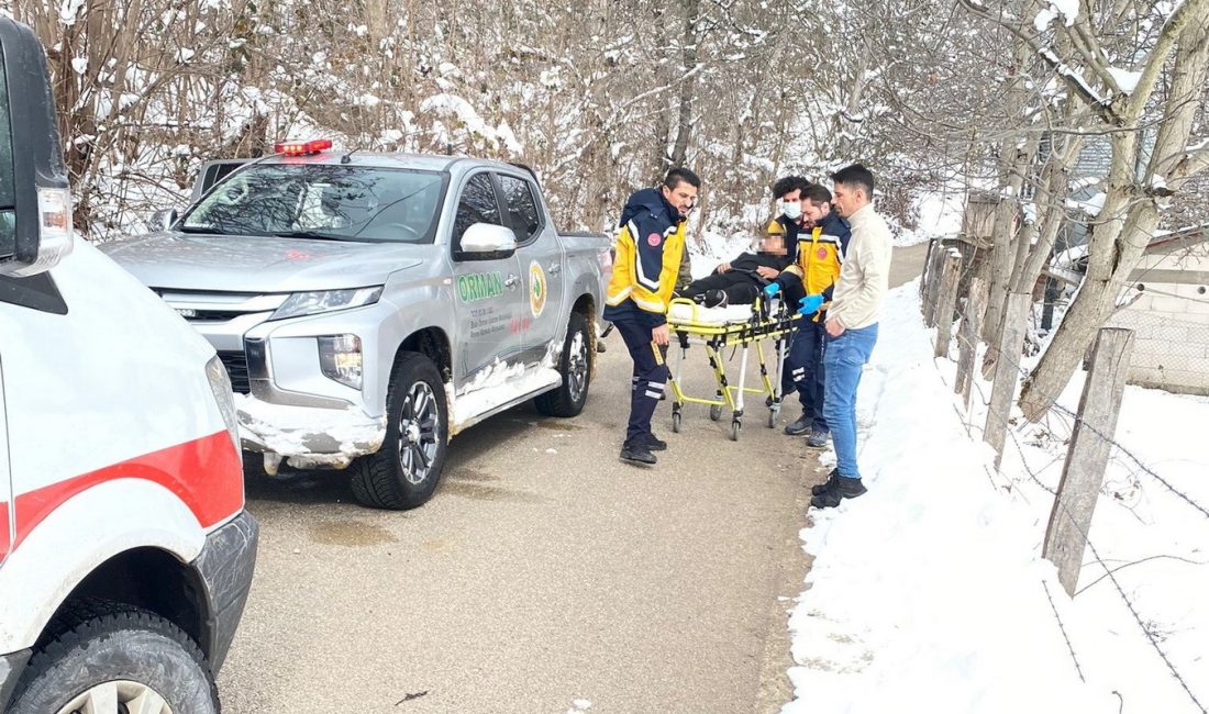 BOLU’DA ORMANLIK ALANDA TRAKTÖR