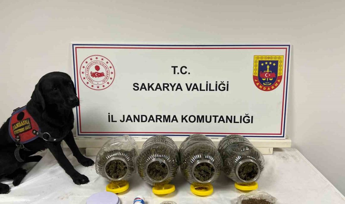 SAKARYA’DA JANDARMA EKİPLERİNCE UYUŞTURUCU