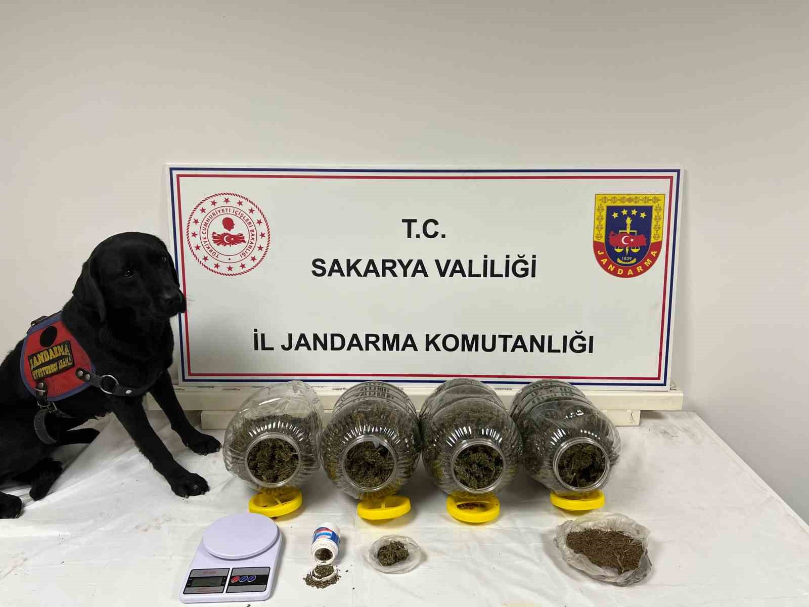 Sakarya’da jandarma suça geçit vermiyor: 6 tutuklama