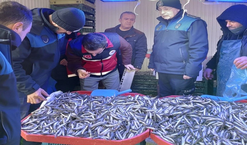 TOSYA SEBZE PAZARINDA HAMSİLERİN BOYU ÖLÇÜLDÜ
