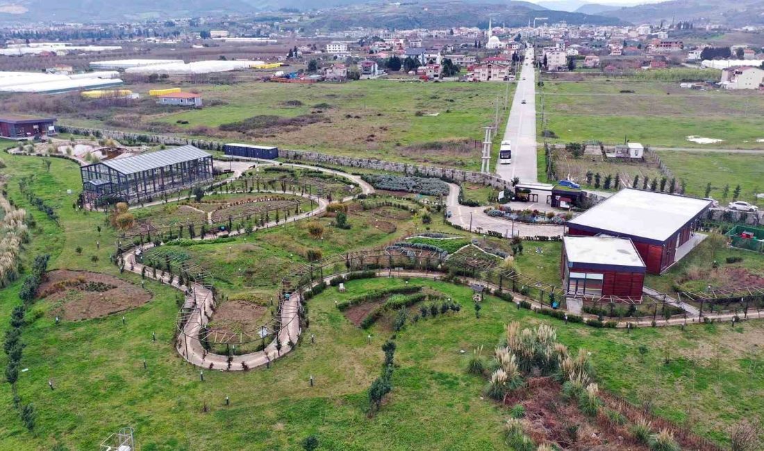 YALOVA’NIN ALTINOVA İLÇESİNDE 40