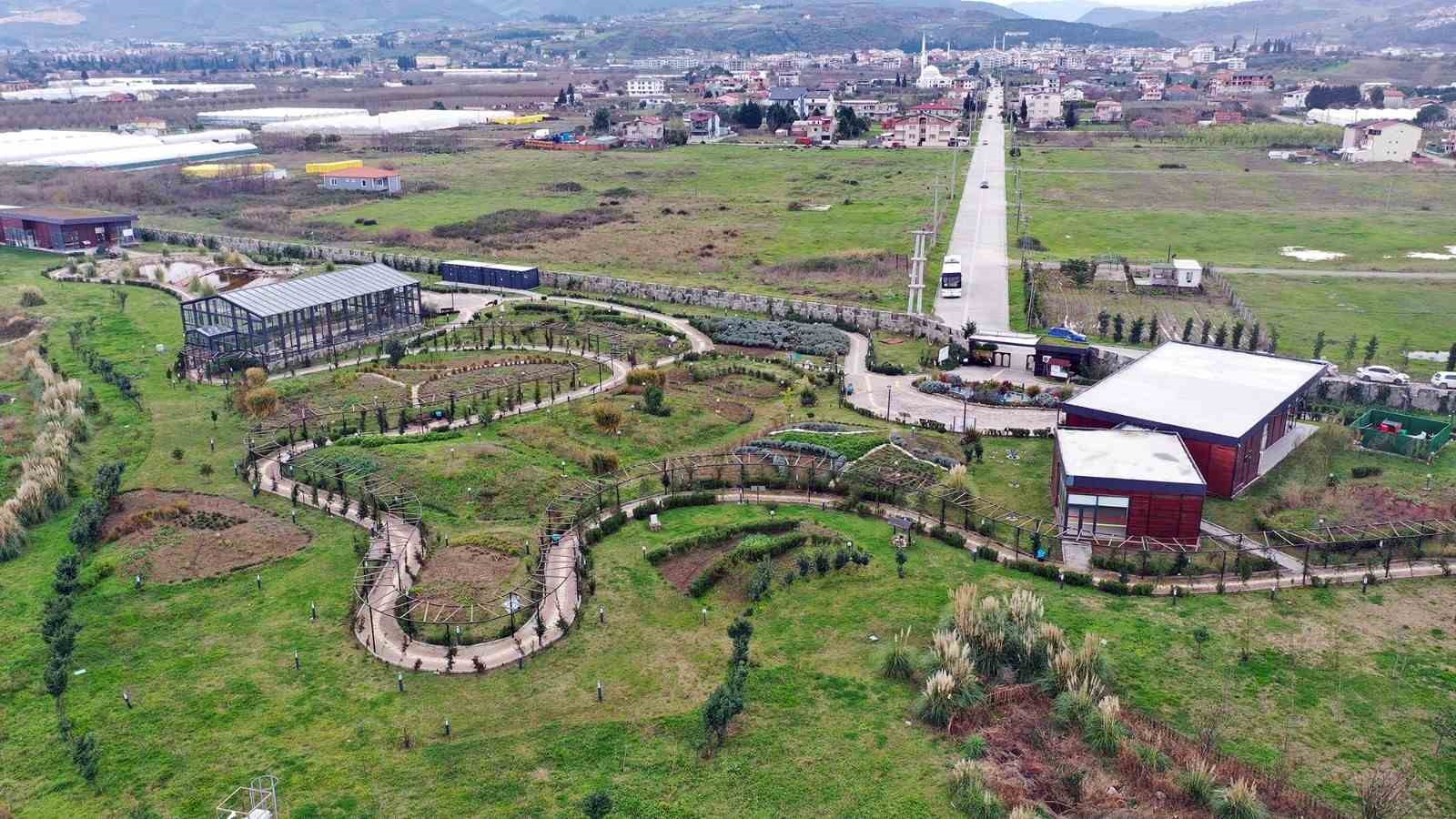 Tıbbı Aromatik Bitkiler Bahçesi’nde ıtır hasadı başladı