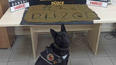 DÜZCE’DE POLİS VE JANDARMA KOM EKİPLERİ TARAFINDAN YAPILAN OPERASYONLARDA 56