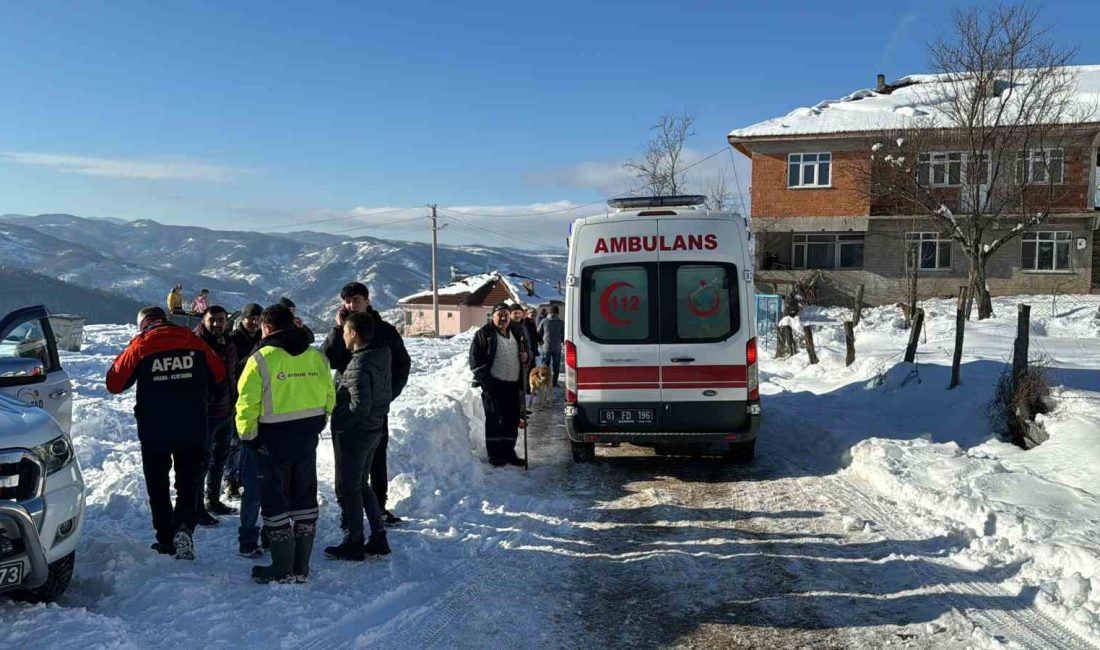 OLAY, AKSAKLAR'DA BULUNAN ORMANLIK