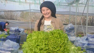 BİLECİK'İN SÖĞÜT VE İNHİSAR İLÇELERİNDE, SAKARYA HAVZASI'NDAKİ TARLA VE SERALARDA