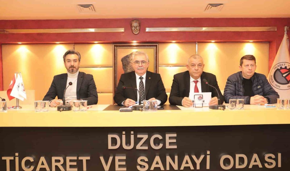 DÜZCE TİCARET VE SANAYİ