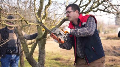 DÜZCE BELEDİYESİ TARIM AKADEMİSİ BÜNYESİNDE BULUNAN ARAZİDE BUDAMA EĞİTİMİ DÜZENLENDİ.