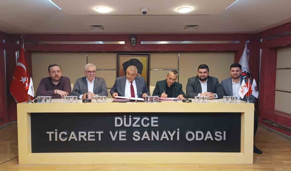 DÜZCE TİCARET VE SANAYİ