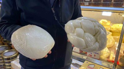 DÜZCE’NİN SOMUT OLMAYAN KÜLTÜREL MİRAS UNSUR SAYISI ÇERKEZ PEYNİRİ VE