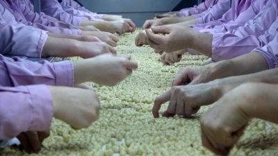 DÜZCE’DEN AVRUPA BİRLİĞİNE BAĞLI ÜLKELERE OCAK AYINDA 2 BİN 294