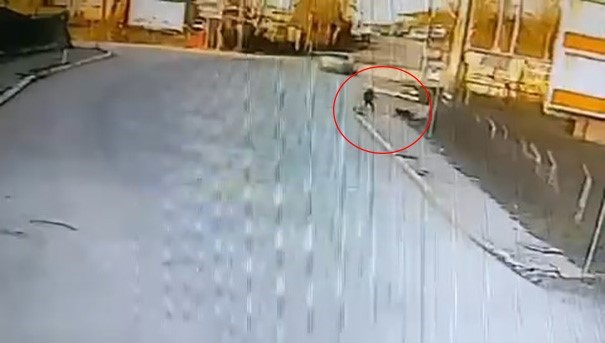 Kandıra’da okula giden çocuğa 2 köpek saldırdı