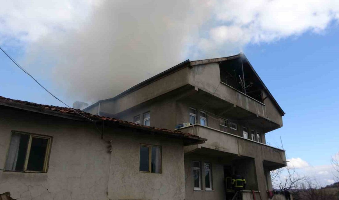 KASTAMONU’DA BİR EVİN ÇATISINDA