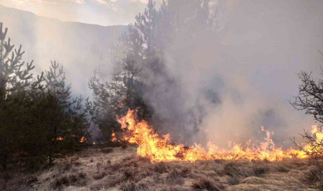 KASTAMONU’NUN TAŞKÖPRÜ İLÇESİNDE ORMANLIK ALANDA ÇIKAN YANGIN, BÜYÜMEDEN ORMAN YANGIN