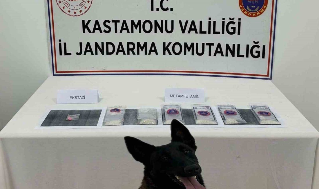 KASTAMONU’NUN TOSYA İLÇESİNDE JANDARMA