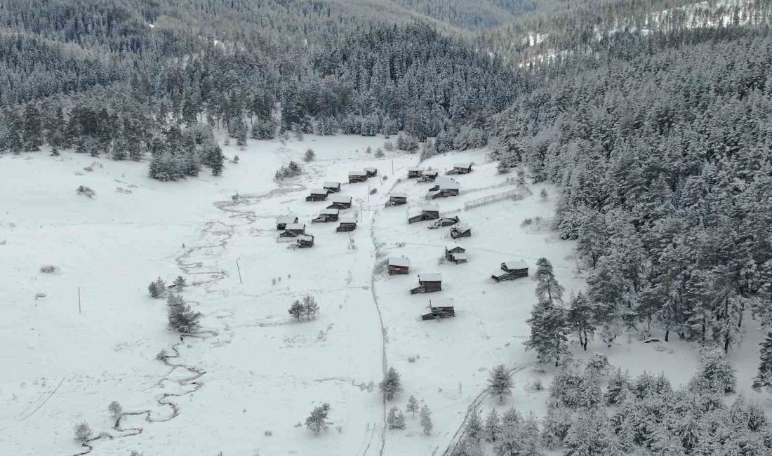 KASTAMONU’NUN ARAÇ İLÇESİNDE 58