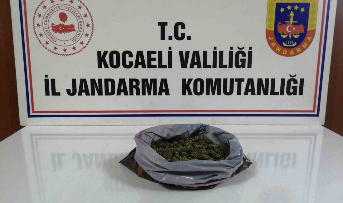 KOCAELİ'DE JANDARMA EKİPLERİNCE YAPILAN