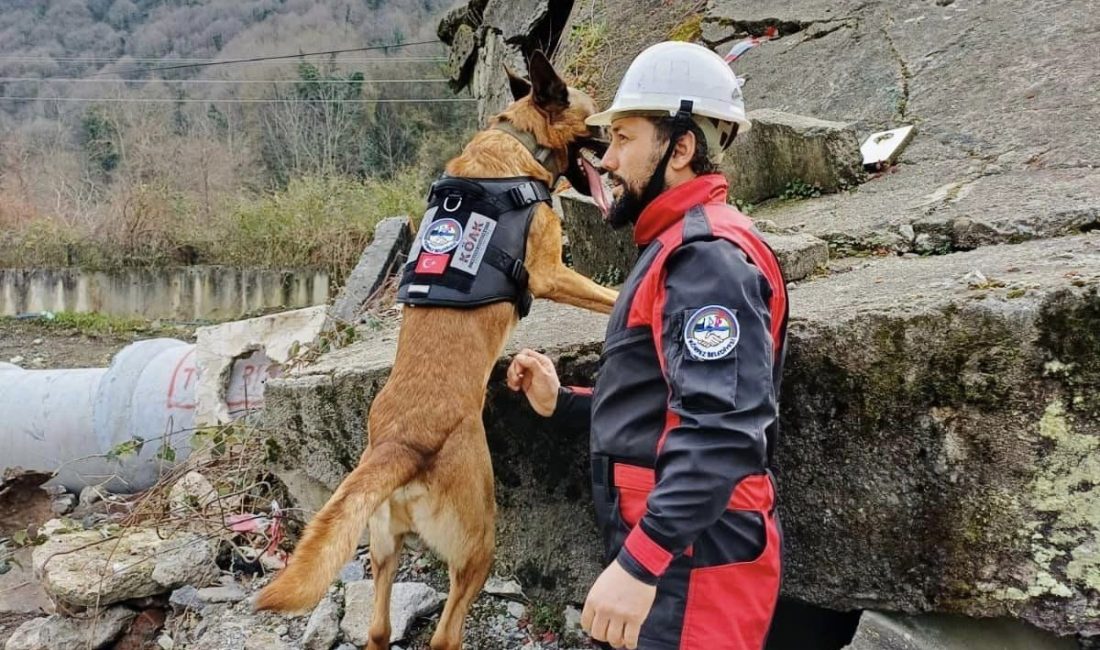 KÖRFEZ BELEDİYESİ TARAFINDAN AFET