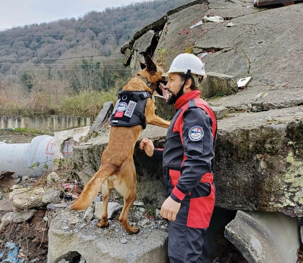 Körfez afete hazırlanıyor