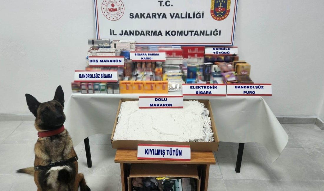 SAKARYA’NIN HENDEK İLÇESİNDE JANDARMA