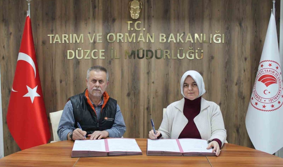 DÜZCE TARIM VE ORMAN