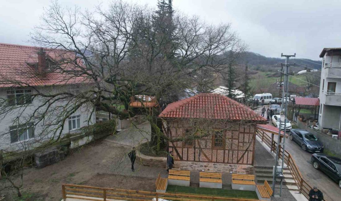 YALOVA’NIN ALTINOVA İLÇESİNE BAĞLI