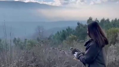 OTOYOLDA DUYARLI VATANDAŞLAR TARAFINDAN KURTARILAN ŞAHİN TEDAVİSİNİN ARDINDAN DOĞAYA SALINDI.