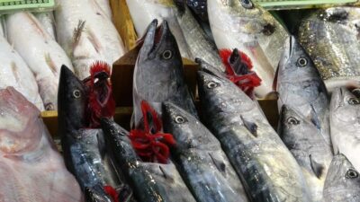 TARIM VE ORMAN MÜDÜRLÜĞÜ TARAFINDAN YAPILAN DUYURUDA 1 NİSAN-31 AĞUSTOS