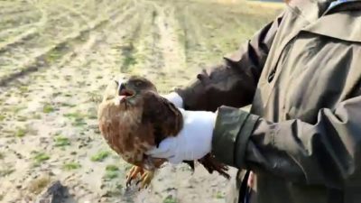 DÜZCE’DE SİNDİRİM SİSTEMİNDE OLUŞAN ENFEKSİYON NETİCESİNDE UZUN SÜRE AÇ KALDIĞI