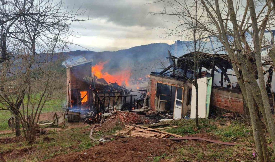 KASTAMONU’NUN İNEBOLU İLÇESİNDE ÇIKAN