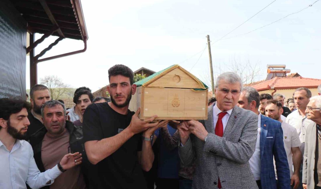 SAKARYA’NIN ADAPAZARI İLÇESİNDE BABAANNESİNİN