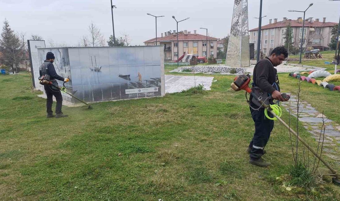 BAŞİSKELE'DE AĞAÇLANDIRMA VE YEŞİL