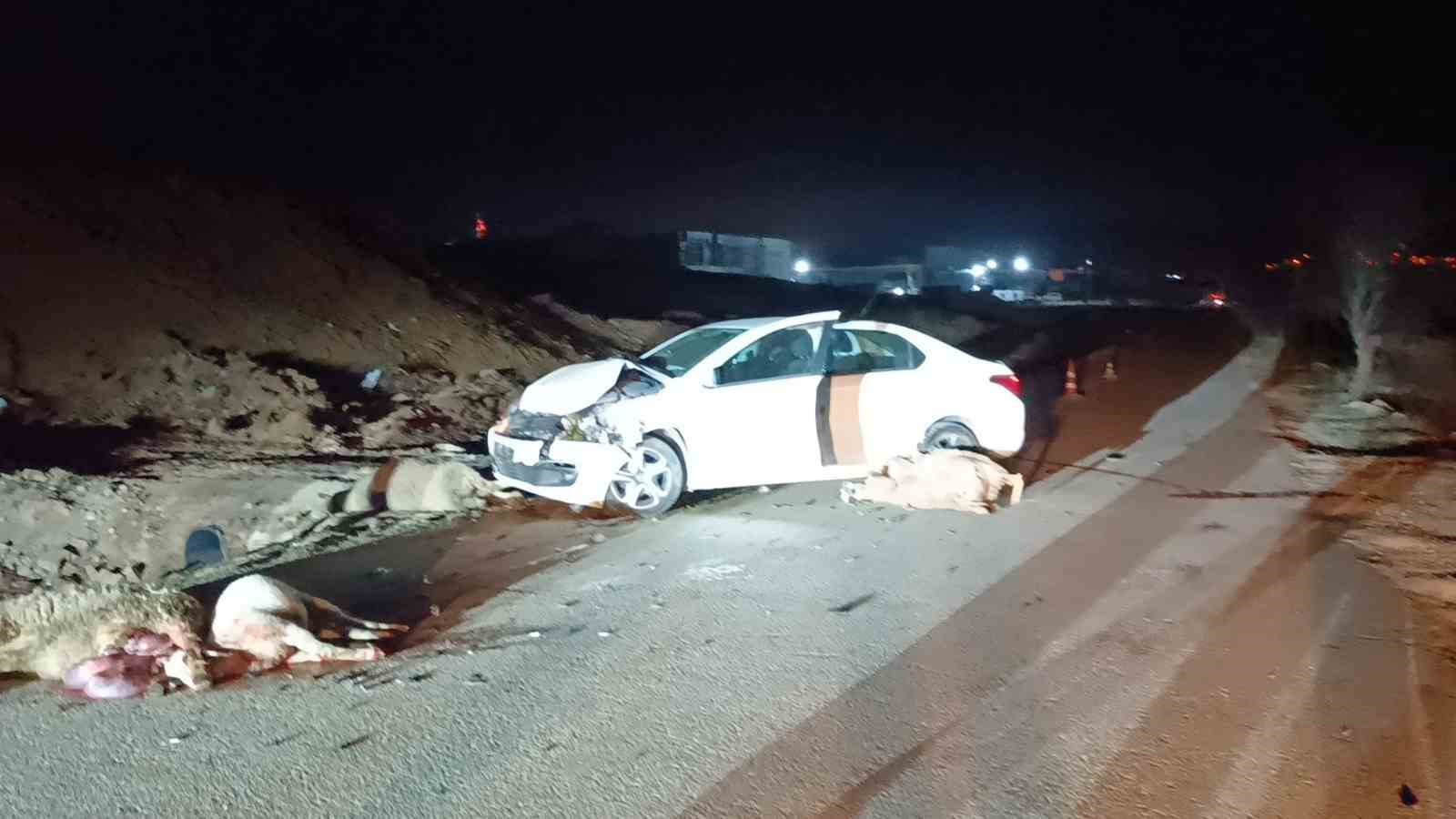 Bilecik’te otomobil koyun sürüsüne çarptı, 1 kişi yaralandı