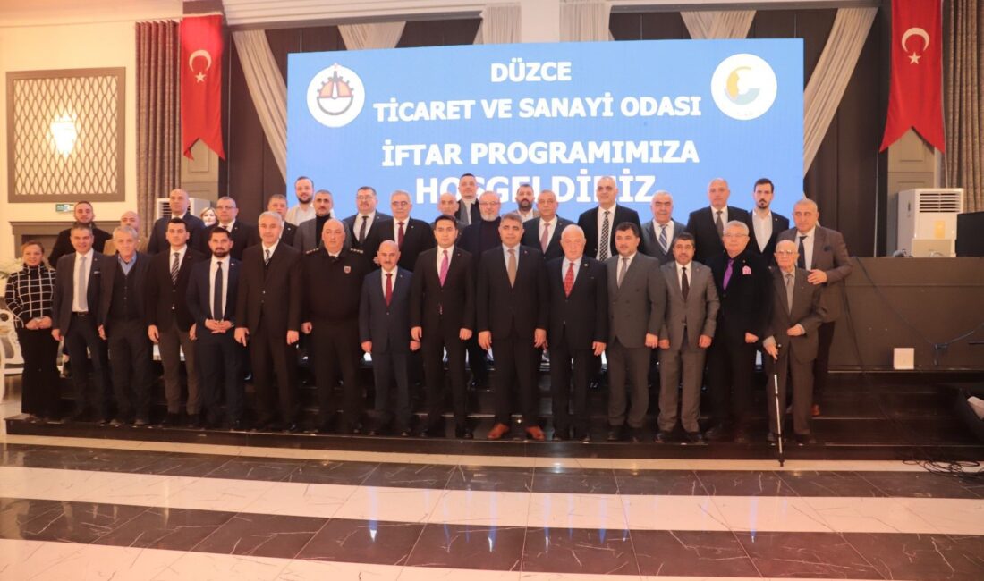 DÜZCE TİCARET VE SANAYİ