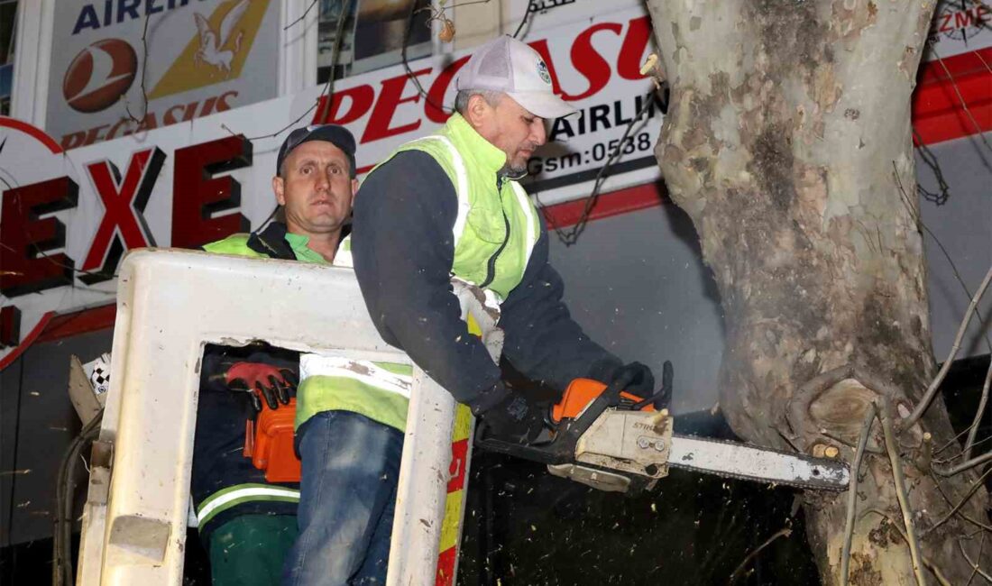 SAKARYA BÜYÜKŞEHİR BELEDİYESİ, VATANDAŞIN