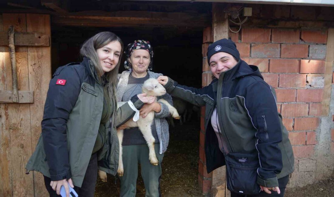 KASTAMONU’DA ORMAN ÜRETİMİ VE HAYVANCILIK YAPAN VATANDAŞLAR, TARIM VE ORMAN