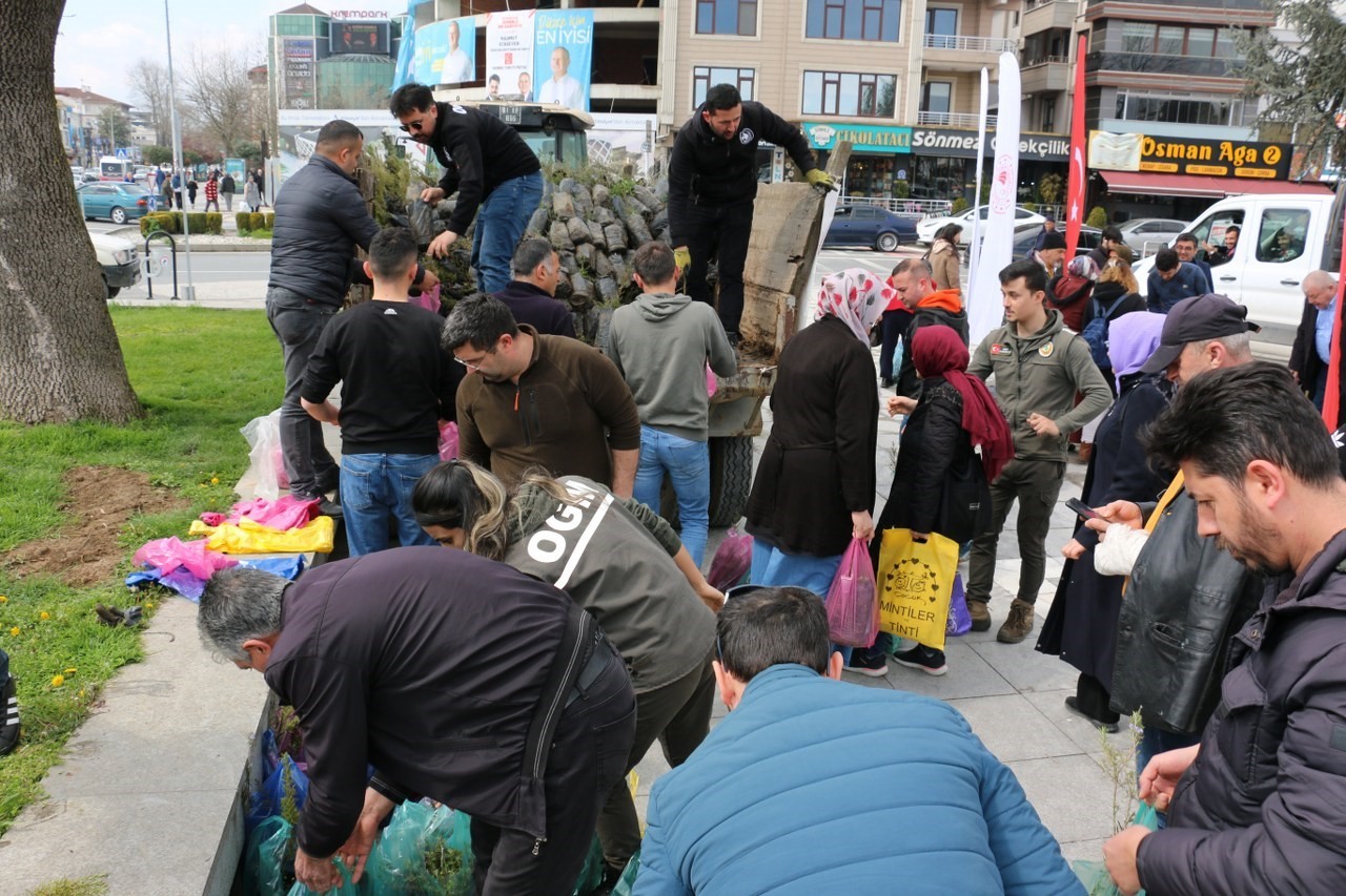 Düzce’de 10 bin fidan ücretsiz dağıtıldı