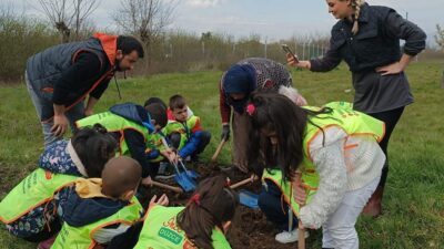 DÜZCE’DE MİNİK ELLER BÜYÜK ORMANLAR OLUŞTURMAK İÇİN ÇALIŞTI. ÖĞRENCİLER FİDANIN
