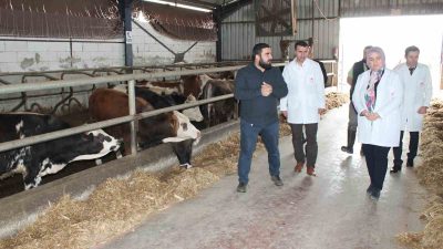 DÜZCE’DE KIRSAL KALKINMA YATIRIMLARINDAN FAYDALANARAK BAŞLADIĞI BESİCİLİĞİ SÜRDÜREN İŞ ADAMI