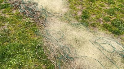 DÜZCE’DE YAPILAN YASADIŞI AVCILIK DENETİMİNDE GÖLET İÇERİSİNE BIRAKILMIŞ 250 METRE