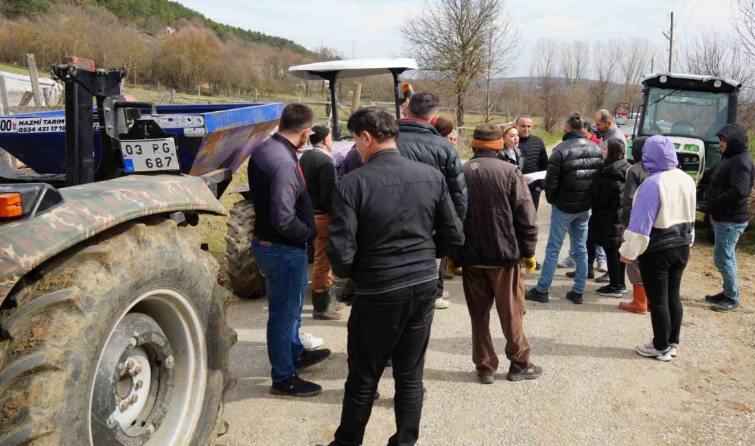 BOLU'DA PİROĞLU KÖYÜNDE TARIM