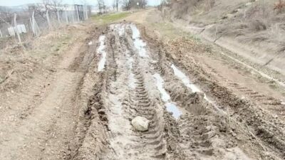 BOZÜYÜK’TE LAVANTA ÜRETİCİSİ, BOZUK OLAN YOLUN YAPILMASINI İSTİYOR