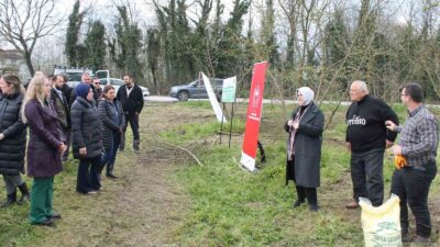 DÜZCE'DE ÖNEMLİ BİR İHRACAT ÜRÜNÜ OLAN FINDIKTA, ENTEGRE MÜCADELE PRENSİPLERİ