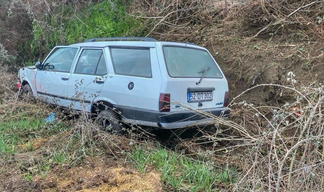 KASTAMONU'NUN TAŞKÖPRÜ İLÇESİNDE SÜRÜCÜSÜNÜN