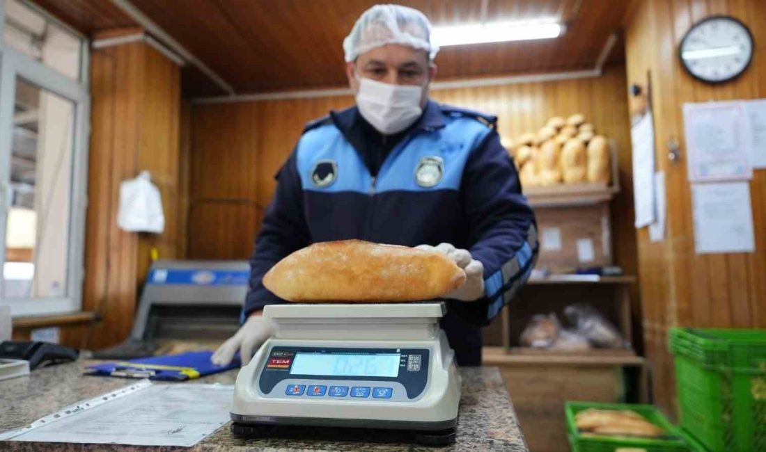 DÜZCE BELEDİYESİ ZABITA MÜDÜRLÜĞÜ,