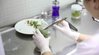 TÜBİTAK 2209-A VE 2209-B ÖĞRENCİ PROJE PROGRAMLARININ SONUÇLARI AÇIKLANDI. SUBÜ