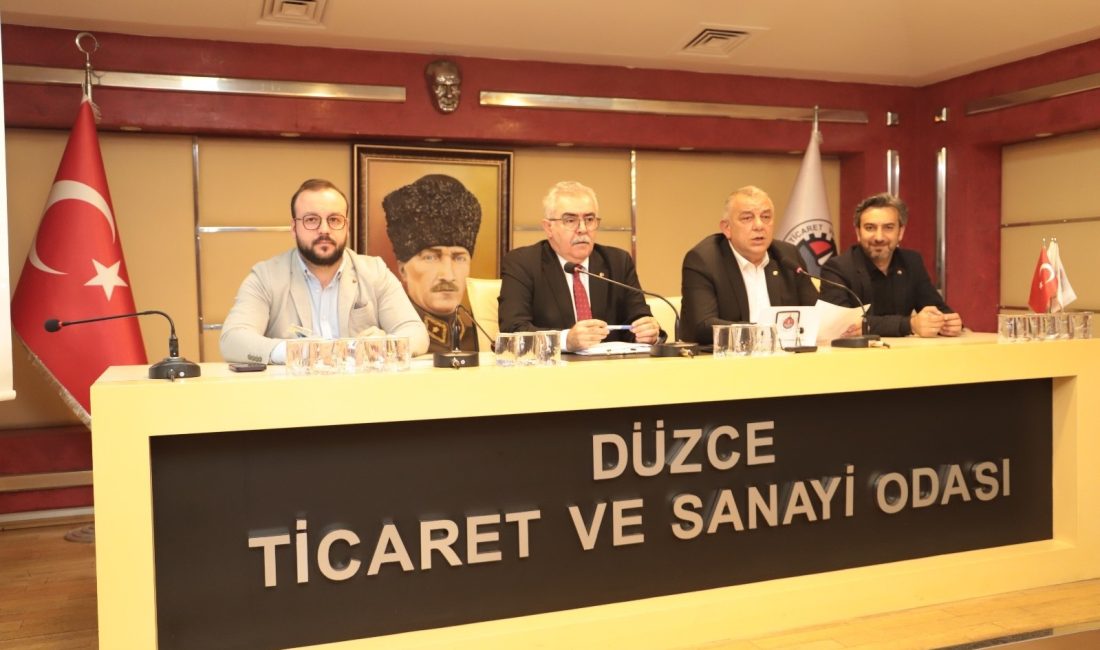 DÜZCE TİCARET VE SANAYİ