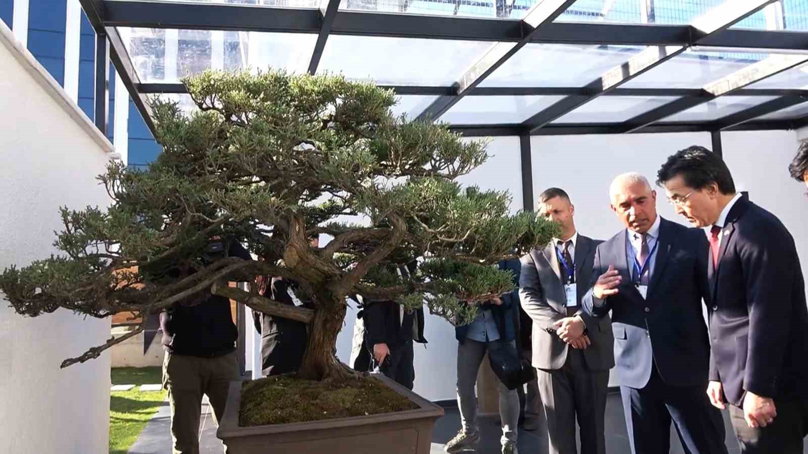 Türkiye’nin ilk, Avrupa’nın en büyük bonsai müzesi Yalova’da açıldı